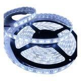 Tira Led Blanco Frio Exterior Más Fuente Y Conector 5 Mts