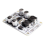 Módulo Amplificador De Audio Mono 30w Tpa3110 12v 24v Btl