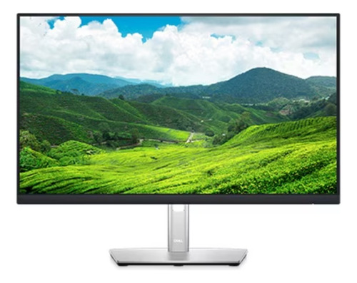 Monitor Dell P2422h 24  Profesional Hdmi, Vga, Dp Ngo/plata 