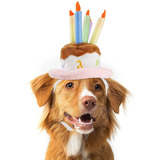 Sombrero De Pastel De Cumpleaños Para Perro, Gato
