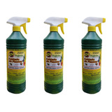 Insecticida Para Suculentas H24 Pulgon Y Cochinilla 3 Piezas