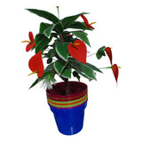 Maceta Mediana De Plástico De 26x22 Estampado De Flores 8pzs