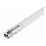 Tubo Led Philips 20pz Opalino 16w 122cm 6500k 110-240v 60hz Color De La Luz Blanco Frío