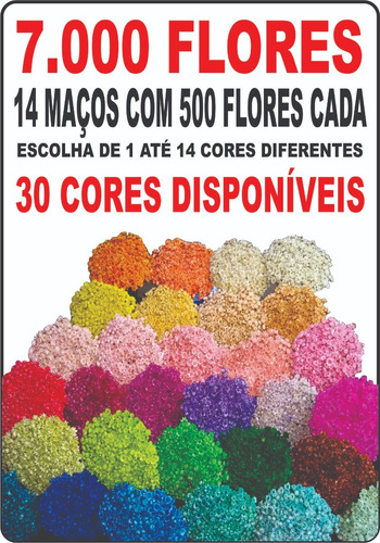 7.000 Flores Sempre Vivas - Promoção - Decoração - Arranjos 