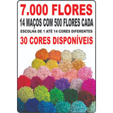 7.000 Flores Sempre Vivas - Promoção - Decoração - Arranjos 