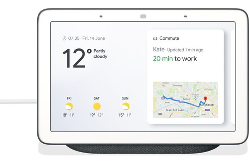 Asistente Google Home Nest Hub Gris Con Pantalla Y Parlante 