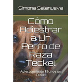 Cómo Adiestrar A Un Perro De Raza Teckel: Adiestramiento Fác