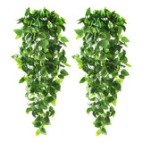 2 Plantas Colgantes Artificiales For Pared Interior.