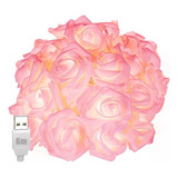Cadena De Luz Decorativa Led Flor Rosa, 6m 40led Entrada Usb