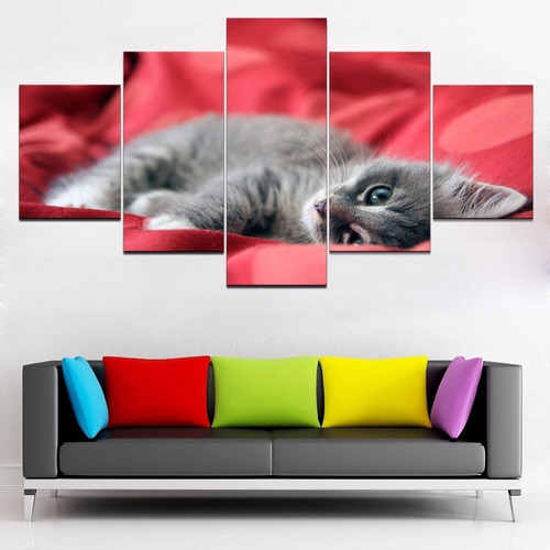 Quadro Decorativo 5 Peças Pet Shop Sala Quarto Gato Filhote