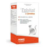 Holland Felvital L-carnitina 80 Ml Gatos Sobrepeso Lipidosis