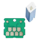 Almohadilla Y Chip C9344 De Caja Mantenimiento Epson L5590