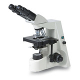 Microscopio Biológico Binocular Óptica Plana S146 1000x