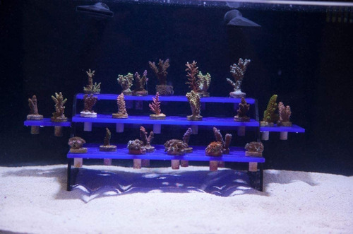 Innovador Rack De Arremlee Marino - Coral Frag Rack (102)