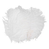 10 Pcs Of White Ostrich Feathers 6.7-9 Inches 2024