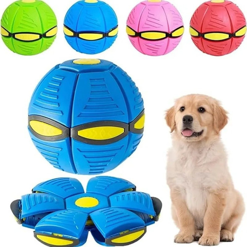 Juguete De Pelota Y Frisbee 2 En 1 Colores Familia Mascotas 