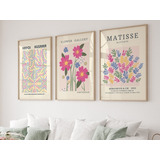 3 Cuadros Decorativos Living Modernos Flores Matisse Rosas