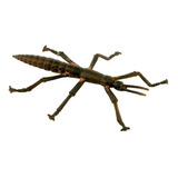 Figura Science And Nature - Lord Howe Island Stick Insect 