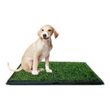 Tapete Grande Entrenamiento Para Mascotas Pet Potty 40x50cm