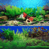 Fondo De Tanque De Peces De 20 X 48 Acuario De Fondo