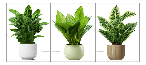 Juego De Pegatinas Adhesivas Decorativas Para Pared Con Vege