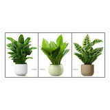 Juego De Pegatinas Adhesivas Decorativas Para Pared Con Vege