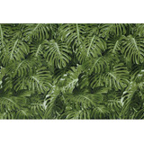 Tecido Jacquard Muro Inglês Verde 3d Costela Adão 8m X 2,8m