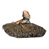 Piedra Calefactora Para Reptiles Roca Termica Iguana 