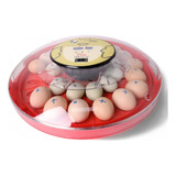 Incubadora De Huevos Digital Automática - 30 Huevos