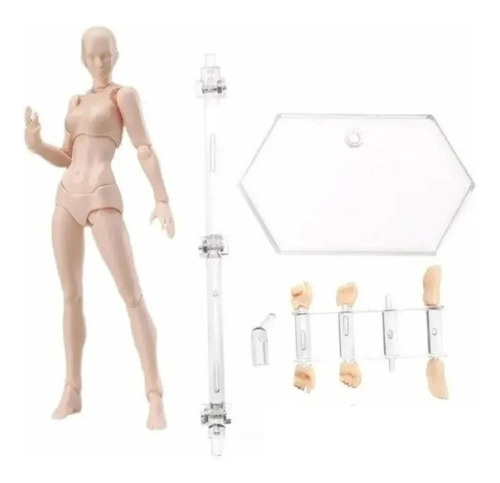 Archetype She Mujer Chan Body Basic Flesh Figma Figura