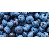 10 Semillas De Arandano  Blue Berry 