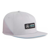 Puma Gorro Mercedes Amg Petronas 02482002