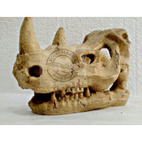 Adorno Penn Plax Cráneo Rinoceronte Acuario - Polypterama
