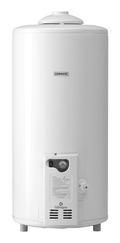 Termotanque Multigas Longvie T3075pf Conexion Superior 75l