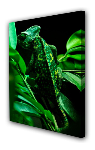 Cuadro 60x90cm Iguana Reptil Lagartija Fauna M2