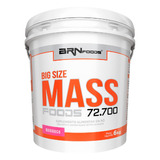 Hipercalorico Size Mass 6kg - Brn Foods Full