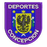 777 Deportes Concepción Segunda División Parche Bordado