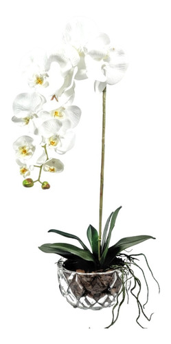 Arranjo Grande Orquideas Brancas Vaso Tipo Vidro - Decoração