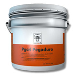 Promotor De Adherencia 100% Acrílico Pegacril Pegaduro 4l