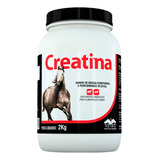 Creatina Vetnil 2kg Suplemento Equinos Cavalo