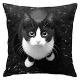 Caso Cojín Funda De Almohada Gato Blanco Negro Decorat...