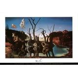 Salvador Dali - Cisnes Reflejando Elefantes Impresión Del Ar