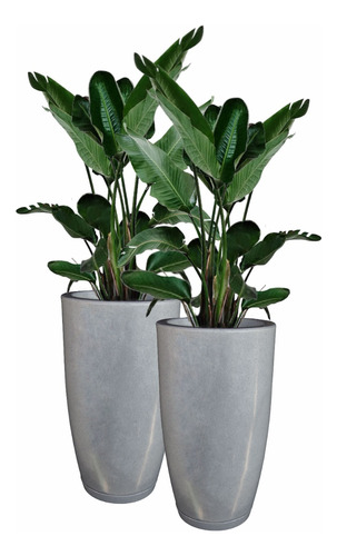 Kit 2 Vasos Para Plantas Tipo Vietnamita Luxo Premium Casa 