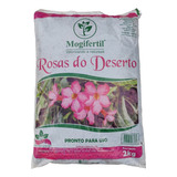 2kg Substrato Para Rosa Do Deserto Mogifertil Pronto P/ Uso