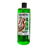 Shampoo De Caballo Con Aloe Vera - Orgánico 330ml Edengi