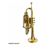 Cornet Selmer  Bundy By Vincent Bach