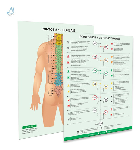 Mapa Aplicar Ventosa Nas Costas Ponto Shu Dorsais Acupuntura