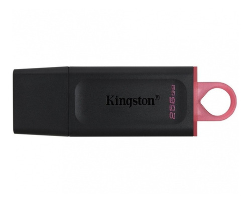 Memoria Usb 256 Gb Usb  Kingston Datatraveler Exodia 