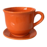 Maceta Taza Naranja * Súper Linda! *