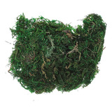 Musgo Verde Artificial Craft Moss, 1 Unidad